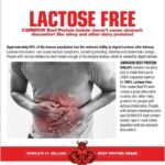 Muscle Meds Carnivor Beef Isolate 56 Serv